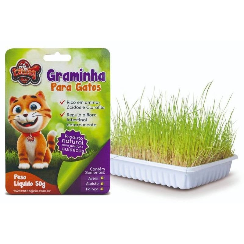 Catdog Graminha Gatos 50 Gr Nova Versão Caixa Com 24 Und