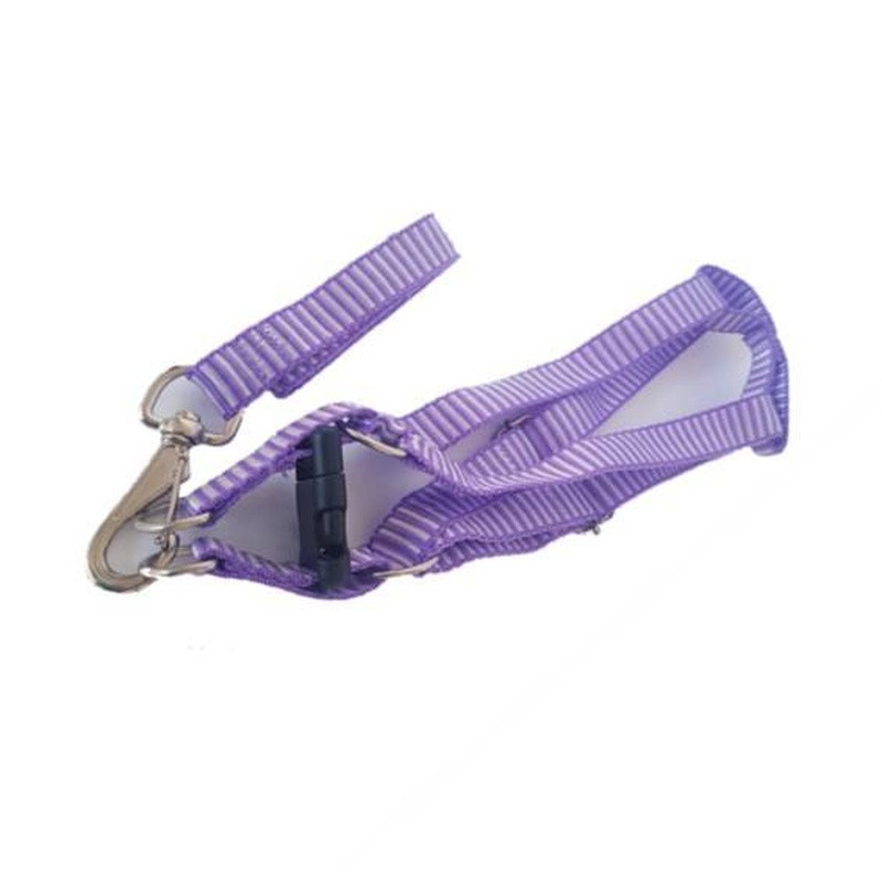 Guia C/ Peitoral Nylon 4 Patas Gde Porte Fita 25mm Pct Com 6 Un.