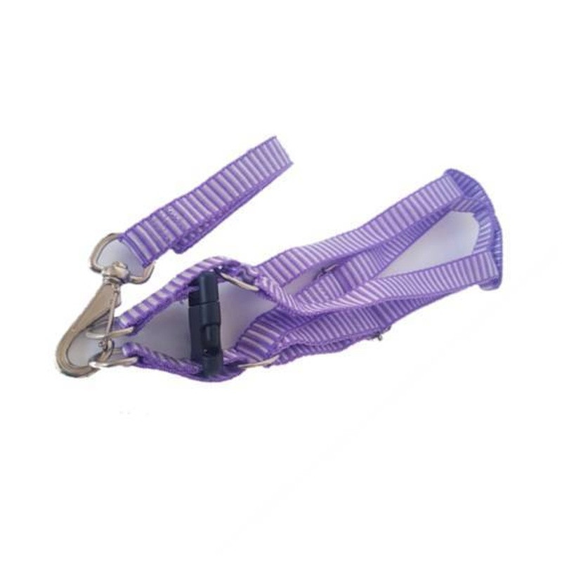 Guia C/ Peitoral Nylon 4 Patas Gde Porte Fita 25mm Un