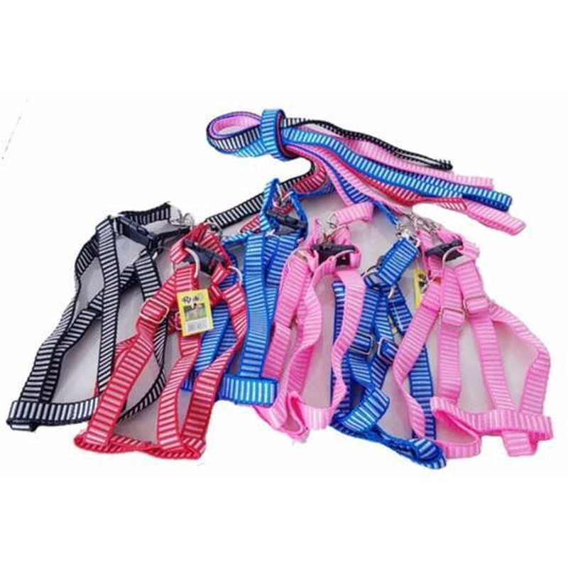 Peitoral Nylon 4 Patas Medio Porte Fita 20 Pct Com 6 Un.