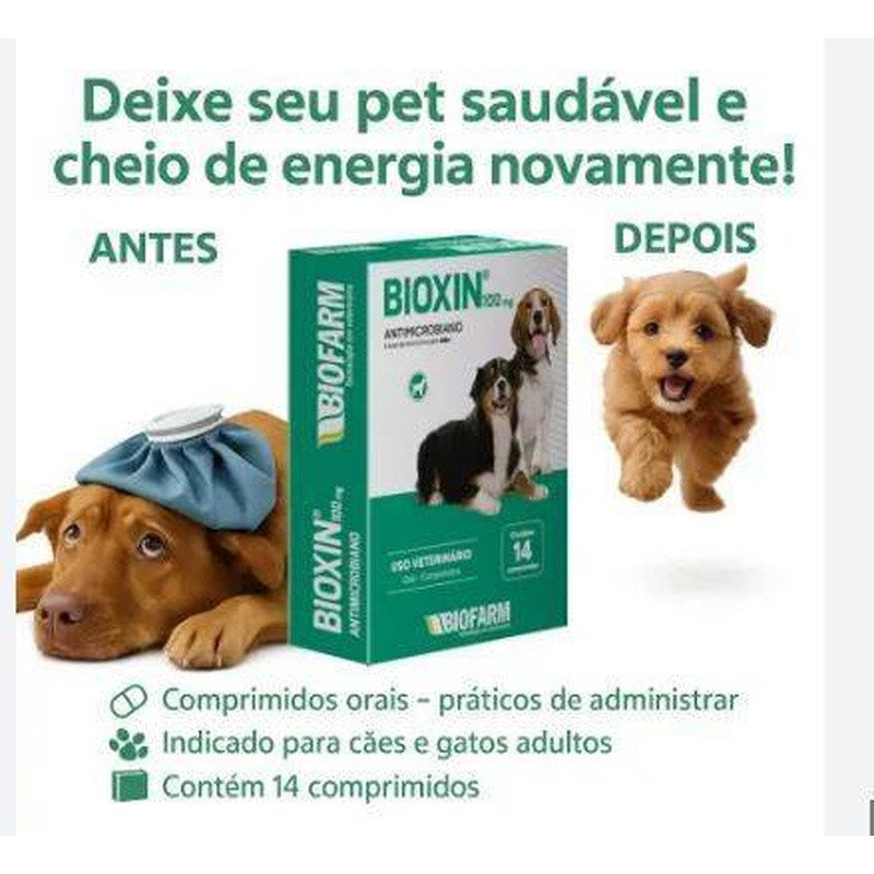 Pet Bioxin 100mg Caixa Com 16 Und