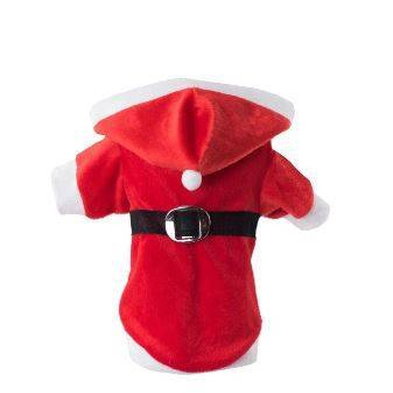 MACACAO DE NATAL G UN