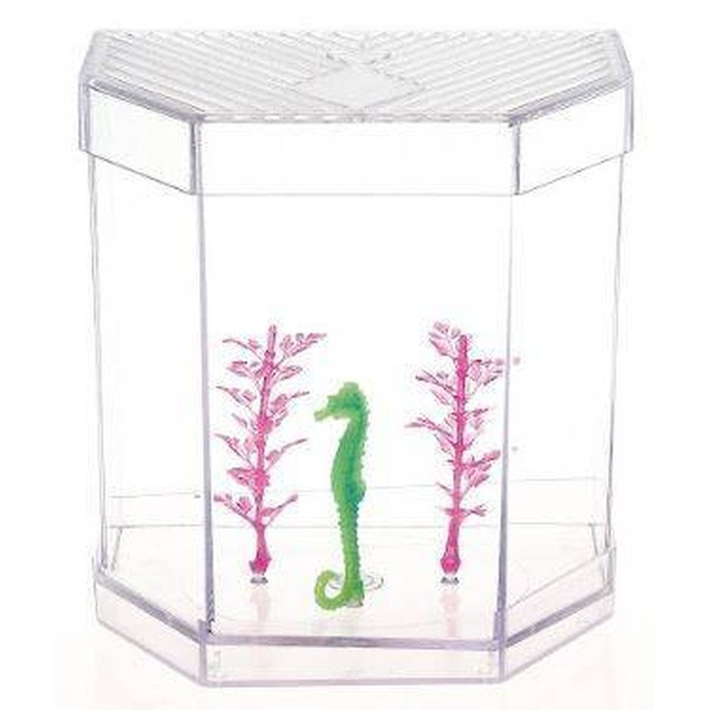 Beteira 1,5 Lt Com Enfeite Un