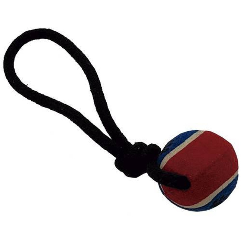 Brinq. Corda P/Caes Pux C/Bola Azul Dog240 Un